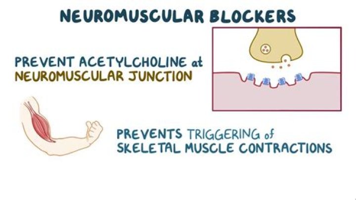 What are examples of neuromuscular blocking agents?