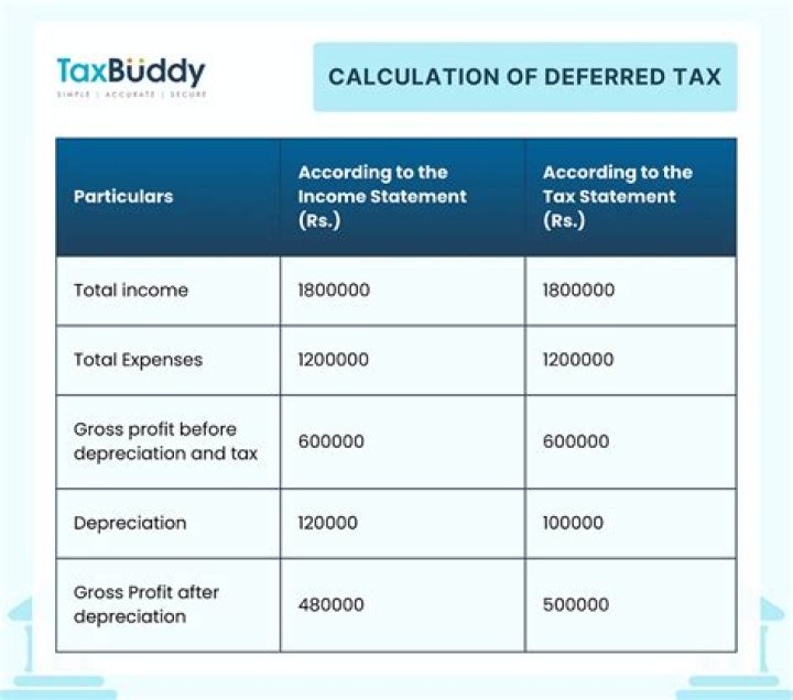 What are prior year disallowed losses?
