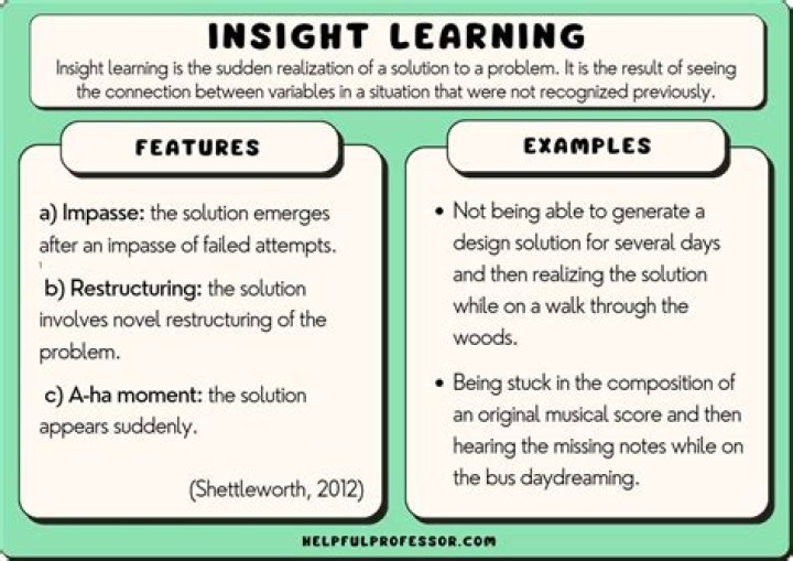 What are some examples of insight learning?