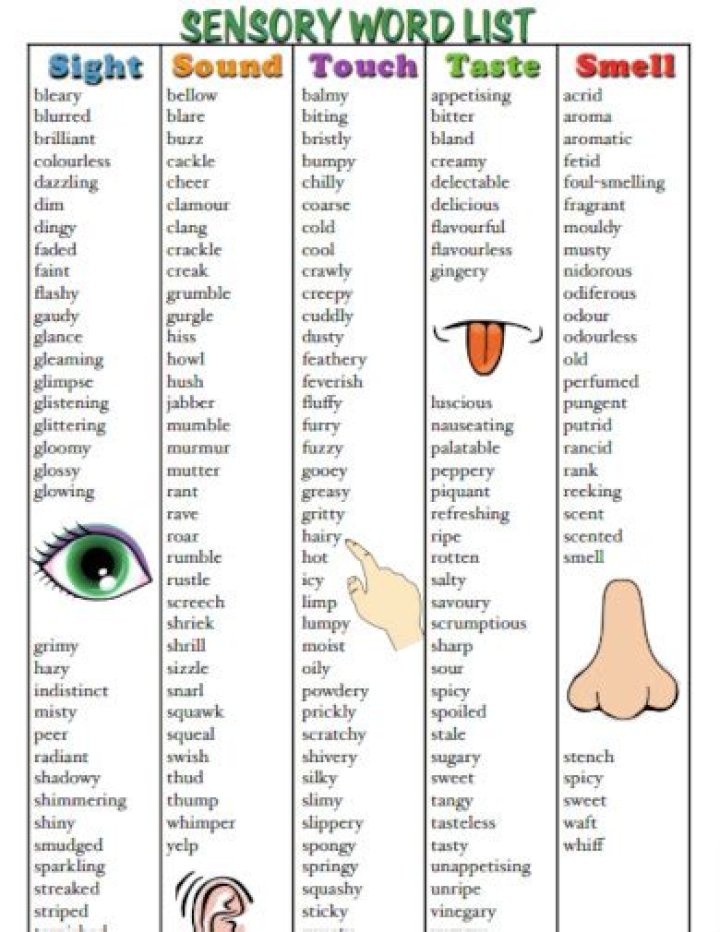 What are some examples of sensory words?