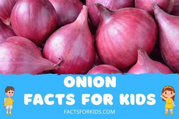 What are some fun facts about onions?