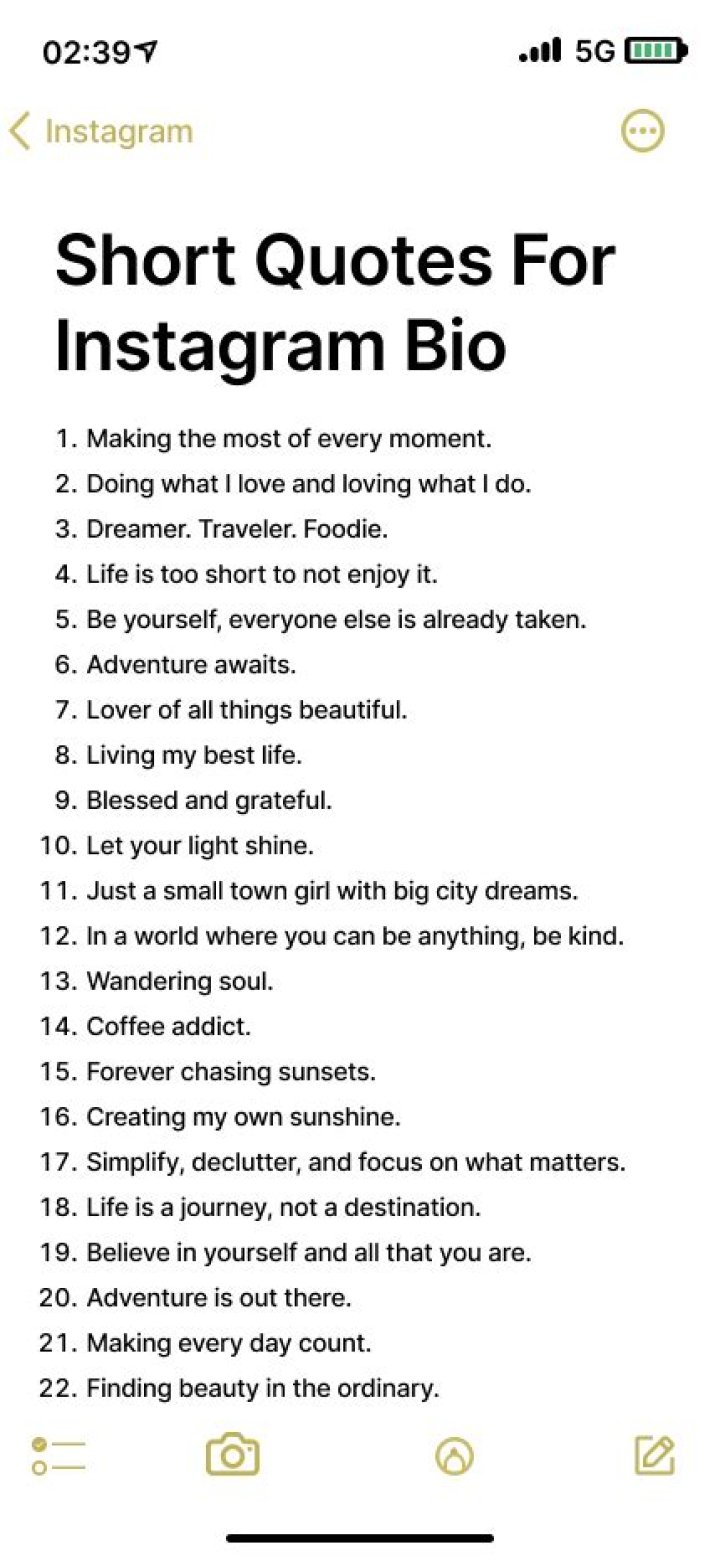What are some good quotes to use in an Instagram bio?