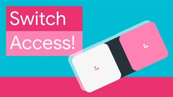 What are switch devices?