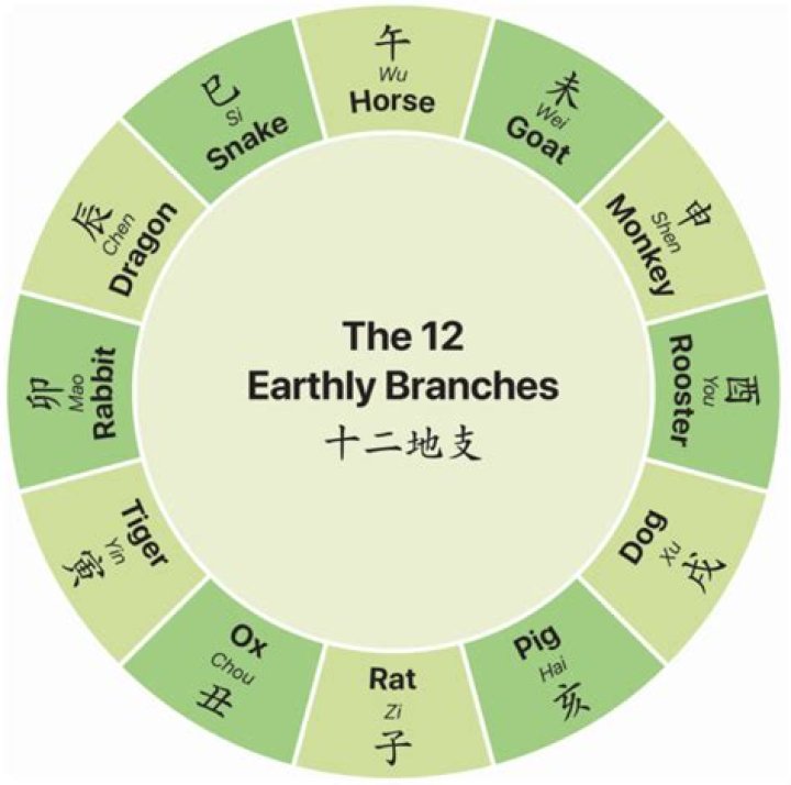 What are the 12 Earthly Branches in Chinese astrology?