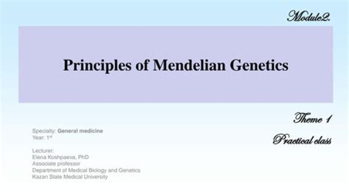 What are the 3 principles of Mendelian genetics PDF?