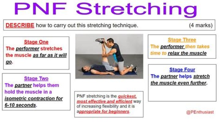 What are the 3 types of PNF stretching?