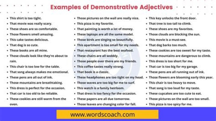 What are the 4 demonstrative adjectives?