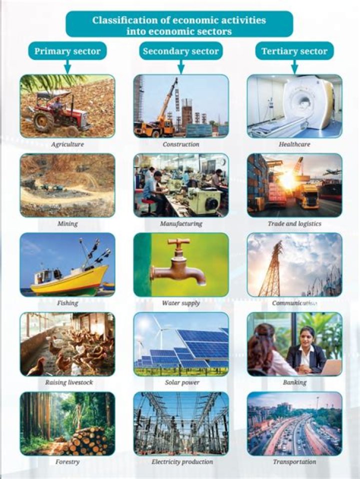 What are the 4 levels of economic activity with examples?