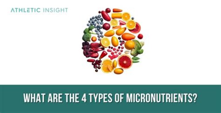 What are the 4 micronutrients?