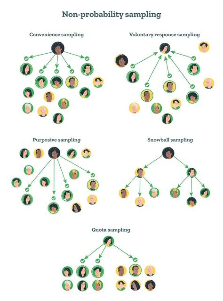 What are the 4 types of non-random sampling?
