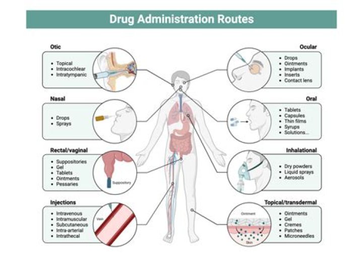 What are the advantages of IV drug administration?