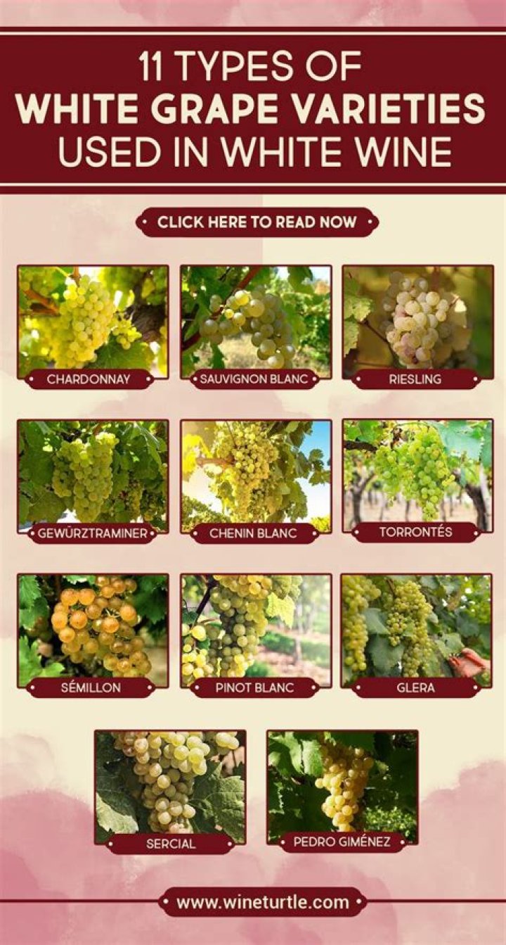 What are the characteristics of wine grapes?