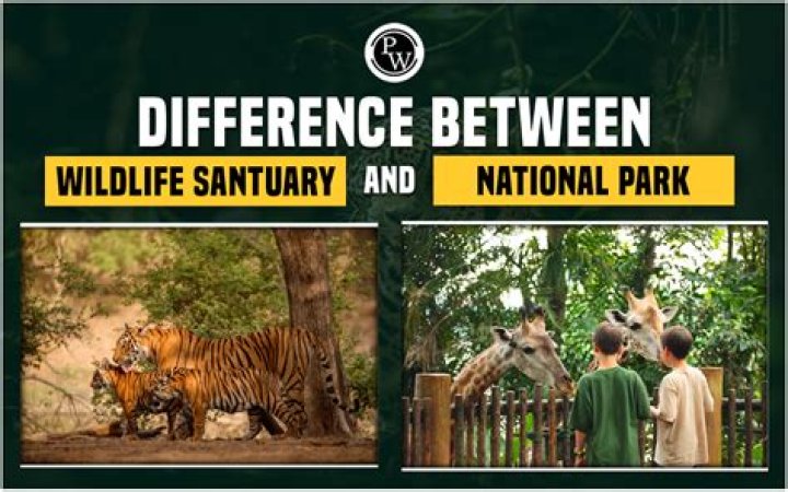 What are the differences between wildlife sanctuaries and national parks?