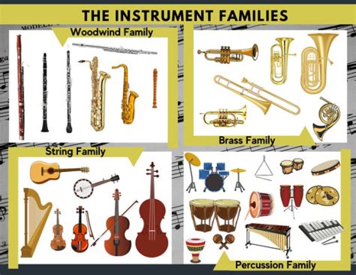 What are the different musical groups?