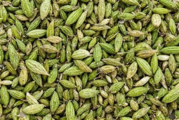 What are the different types of cardamom?