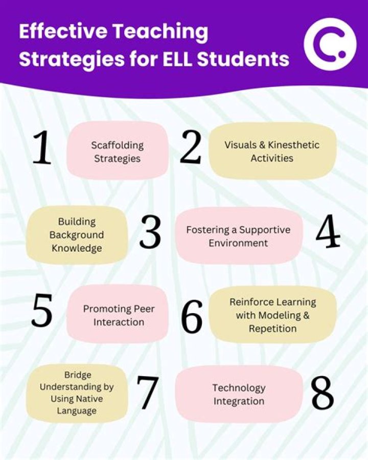 What are the different types of ELL students?