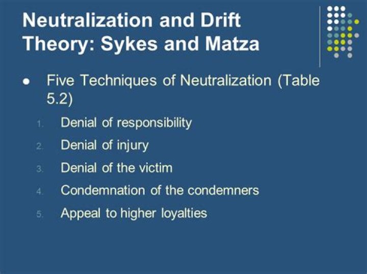 What are the five techniques of neutralization?