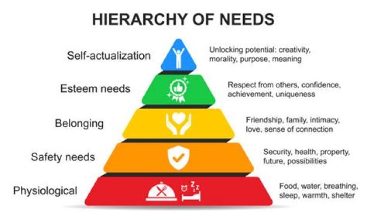 What are the physiological needs of a patient?