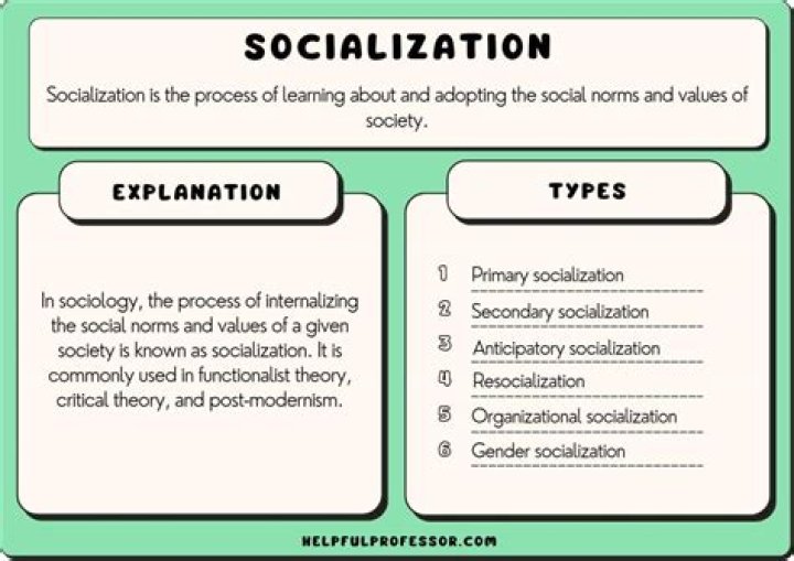 What are the socialization in sociology?