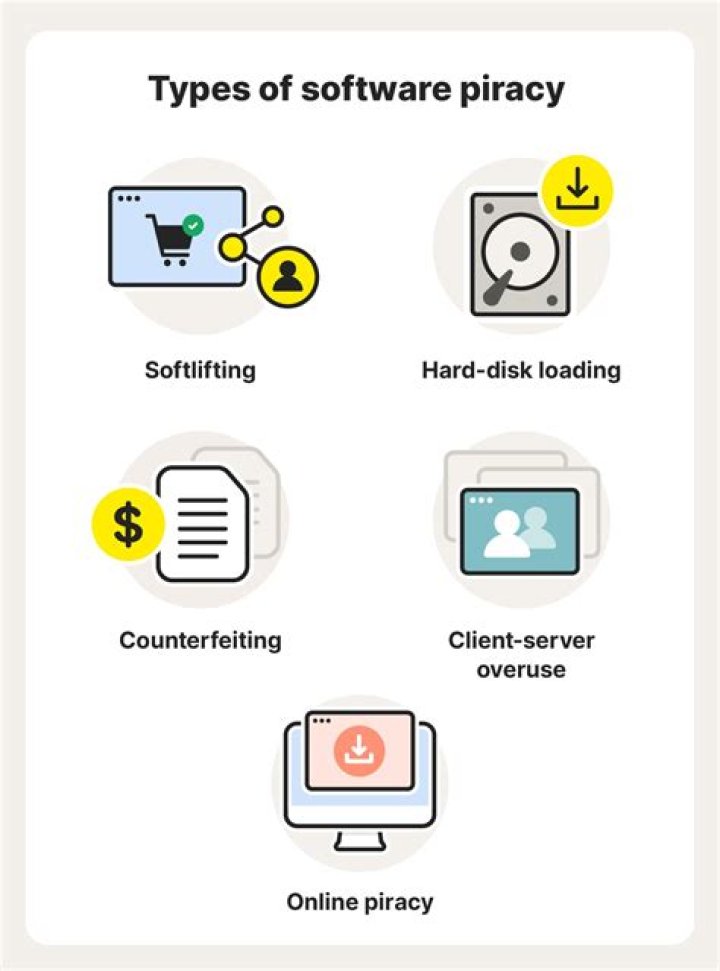 What are the three types of software piracy?