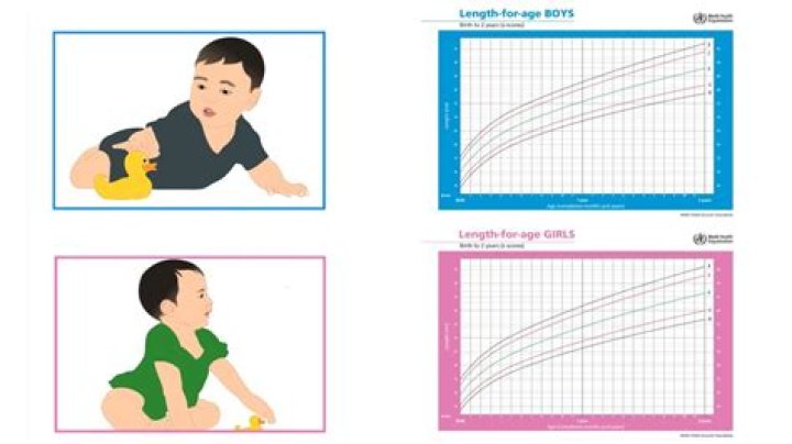 What are Z-scores on growth charts?