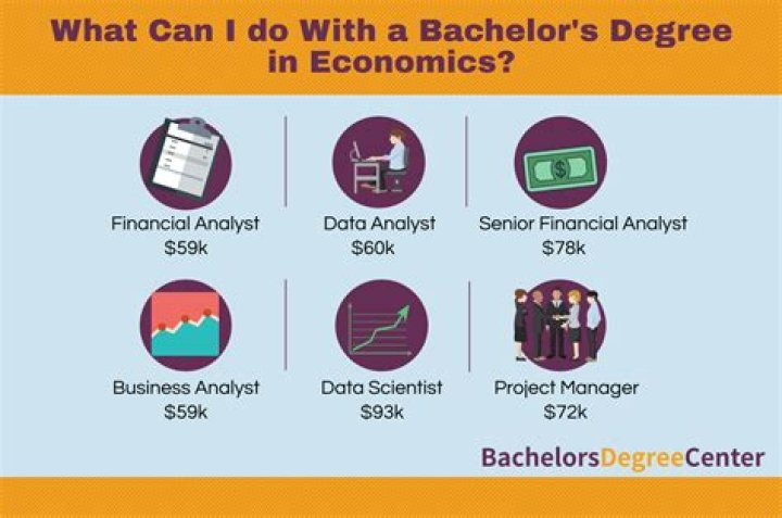 What can you do with bachelor Commerce economics?