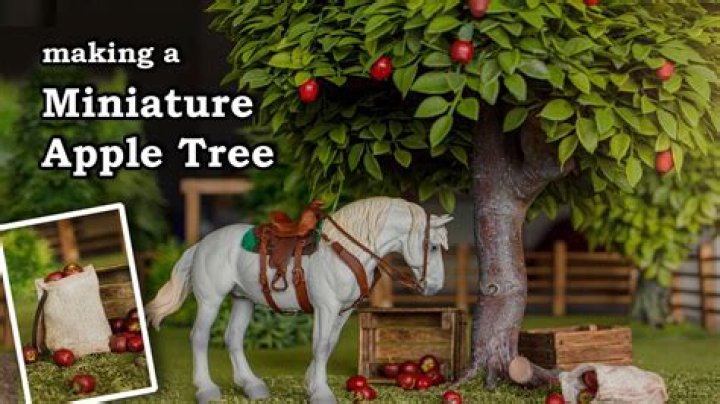 What can you do with horse apples?