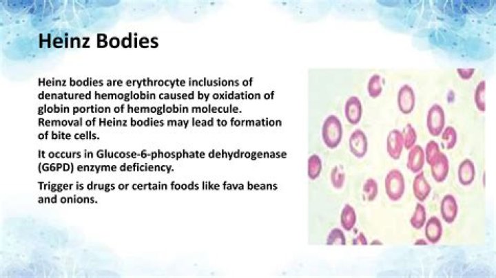 What causes Heinz bodies formation?