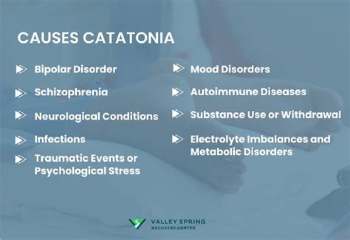 What causes sudden catatonic state?