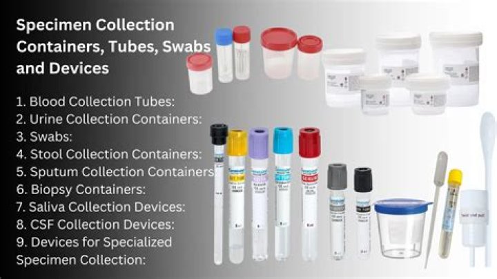 What container should I use for meal prep?