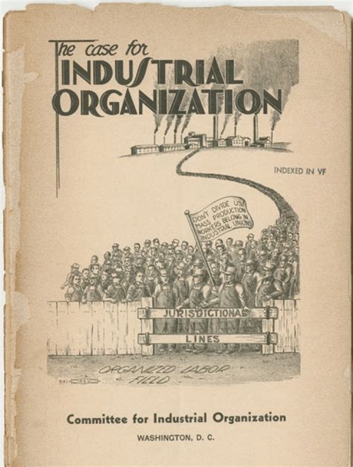 What did the Committee for Industrial Organization do?