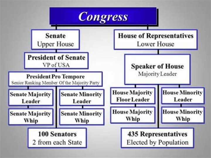 What did the committees of Congress do?