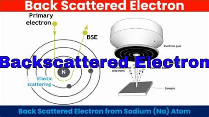What do backscattered electrons show?