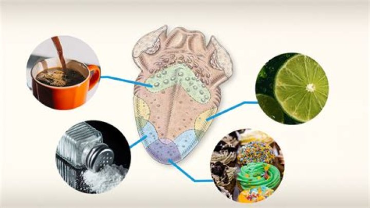 What do Jumiles taste like?