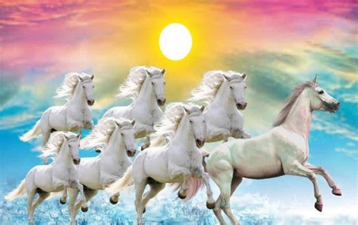 What does 7 white horses mean?