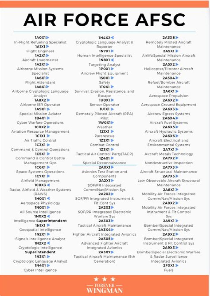 What does a 1N0X1 do?