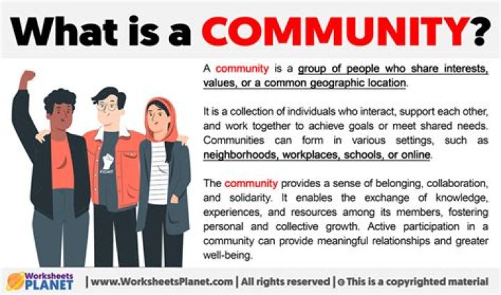 What does a community Organiser do?