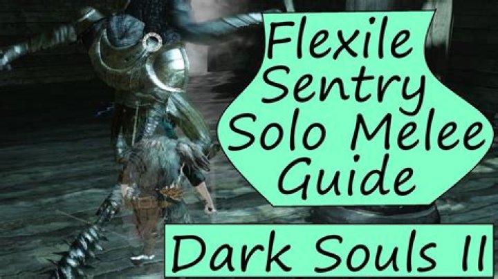 What does Flexile Sentry soul give?