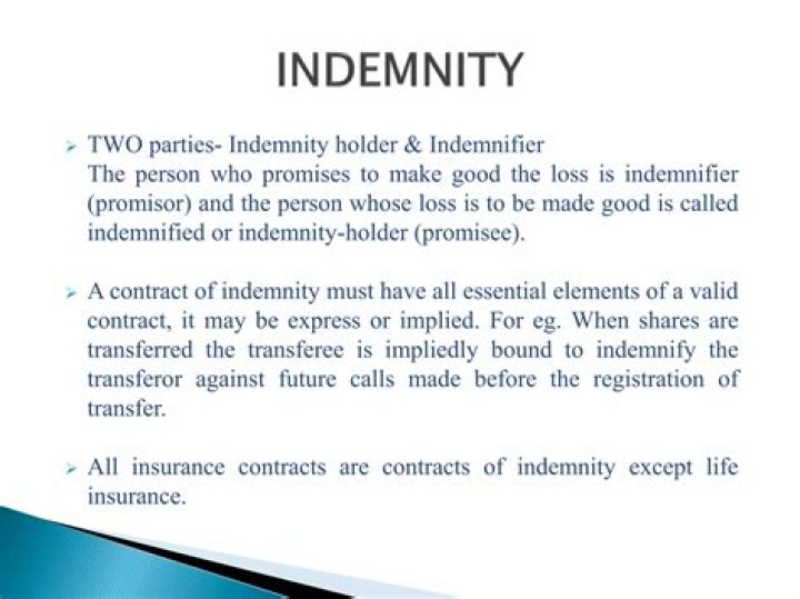 What does indemnify against mean?