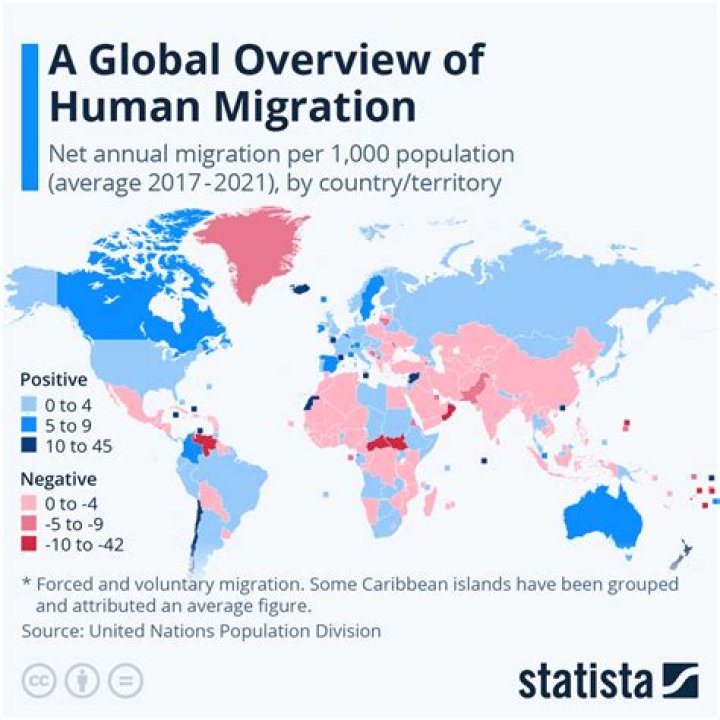 What does IOM stand for in migration?