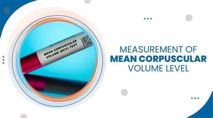 What does it mean if your mean corpuscular volume is high?