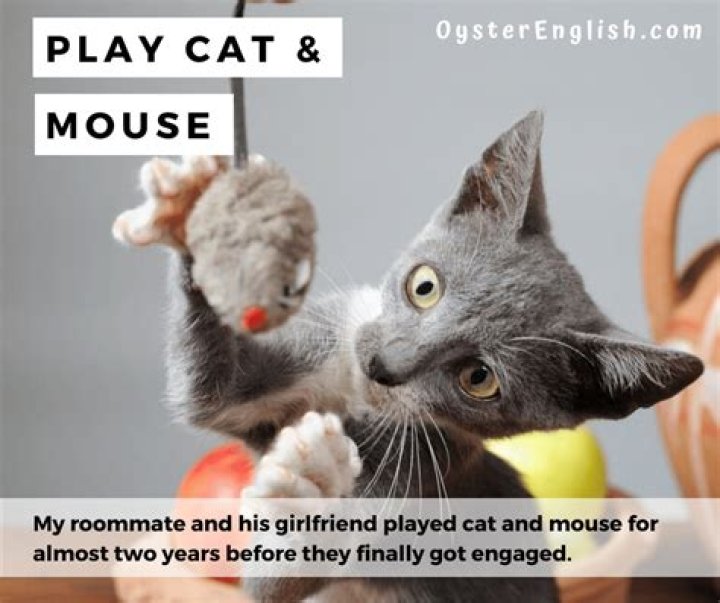 What does it mean to play cat and mouse with someone?