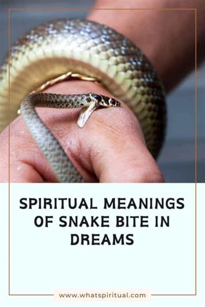 What does it mean when a snake bites you in a dream in Hinduism?