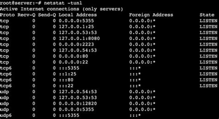 What does netstat do in Unix?