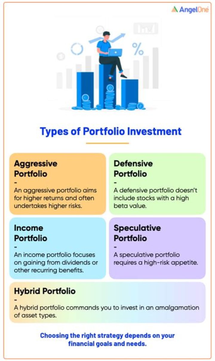 What does portfolio mean in government?