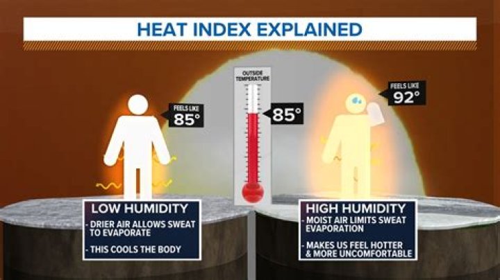 What does tepid temperature mean?