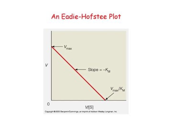 What does the Eadie Hofstee plot show?