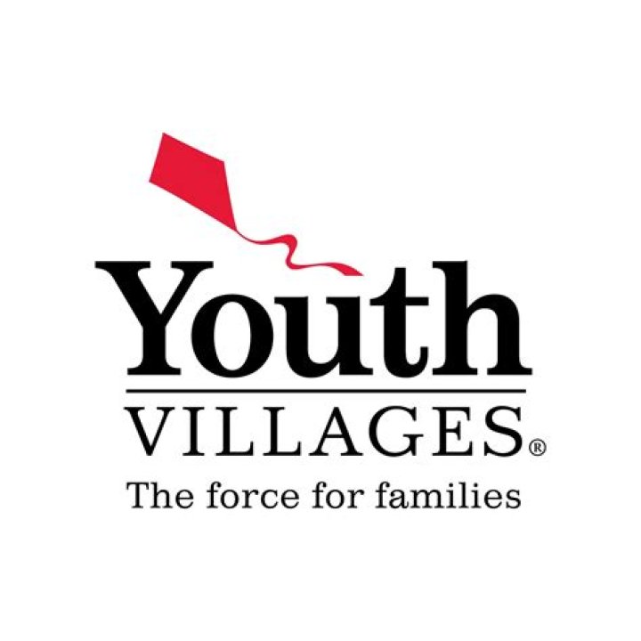 What does Youth Villages do?