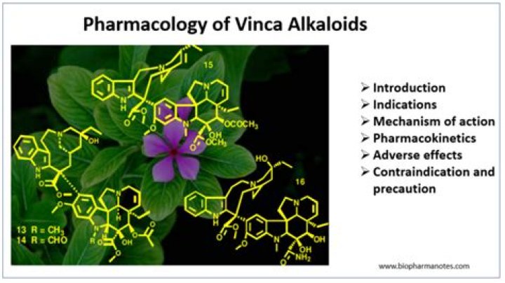 What drugs are vinca alkaloids?