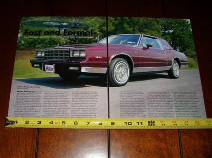 What engine is in a 1981 Monte Carlo?